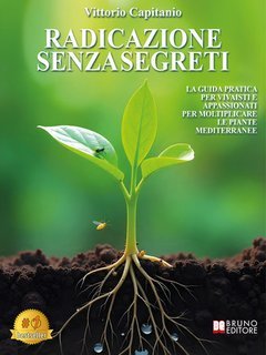 Vittorio Capitanio - Radicazione senza segreti (2025)